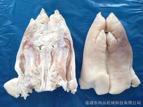 pb-1-猪蹄劈半机价格 猪蹄劈半机 _供应信息_商机_中国食品机械设备网